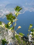 klettersteig_1.mai 009_2